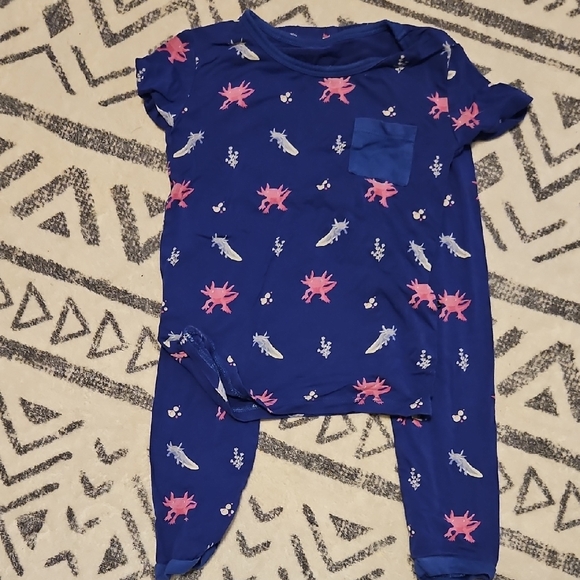 Kyte BABY Other - Kyte Baby Axolotl Pj